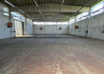 IMG_7812.jpeg - Capannone VIA BRODOLINI 5, Casalpusterlengo - foto 12