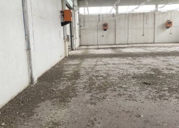 IMG_7435.jpeg - Capannone VIA BRODOLINI 5, Casalpusterlengo - foto 15