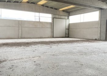 IMG_7442.jpeg - Capannone VIA BRODOLINI 5, Casalpusterlengo - foto 19