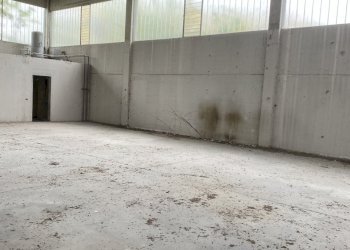 IMG_7443.jpeg - Capannone VIA BRODOLINI 5, Casalpusterlengo - foto 20