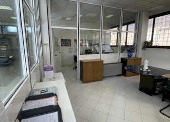 IMG_9589.jpeg - Capannone Via dell' Agricoltura 7, Lodi - foto 9