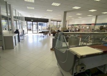 IMG_9592.jpeg - Capannone Via dell' Agricoltura 7, Lodi - foto 10