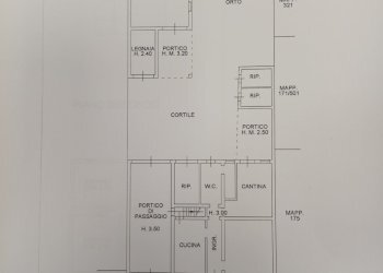 IMG_20250514_112548.jpg - Villa Strada Provinciale 85 24, Gussola - foto 14