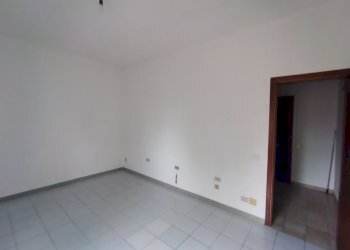 IMG_20250414_095641.jpg - Casa indipendente VIA ALDO MORO 62, Martignana di Po - foto 12