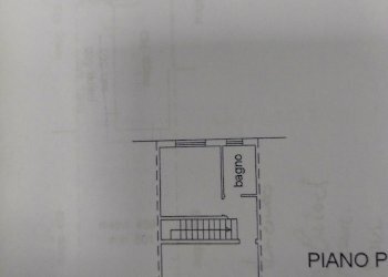 IMG_20250414_110003.jpg - Casa indipendente VIA ALDO MORO 62, Martignana di Po - foto 22