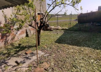 IMG_20250409_151941.jpg - Villa VIA GIOVANNI CADOLINI 48, Rivarolo del Re ed Uniti - foto 14