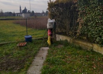 IMG_20250110_120012.jpg - Casa indipendente Casalmaggiore - foto 21