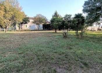 giardino - Villa Crespino - foto 3