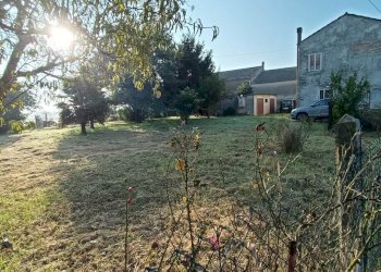 giardino - Villa Crespino - foto 4