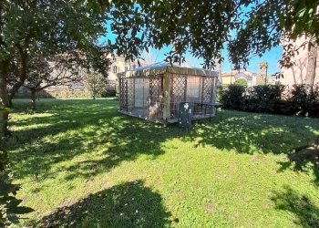 area giardino piantumato.jpg - Casa indipendente Adria - foto 23