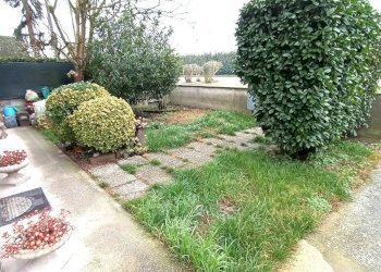 giardino - Casa indipendente Bosaro - foto 5