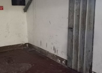 IMG20241108165312.jpg - Bilocale Sanremo - foto 18