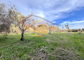 c2566e5b-976b-42e0-a2f7-d0dbbff8efad.jpeg - Casa indipendente Via Blanco, Siracusa - foto 21