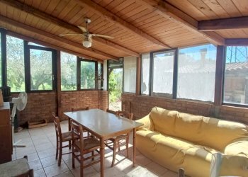 IMG20250403143649.jpg - Villa strada provinciale, Pianopoli - foto 2