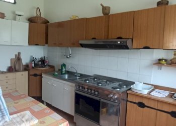 IMG20250403143713.jpg - Villa strada provinciale, Pianopoli - foto 6