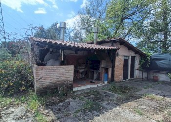 IMG20250403143558.jpg - Villa strada provinciale, Pianopoli - foto 9