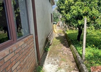 IMG20250403143554.jpg - Villa strada provinciale, Pianopoli - foto 12