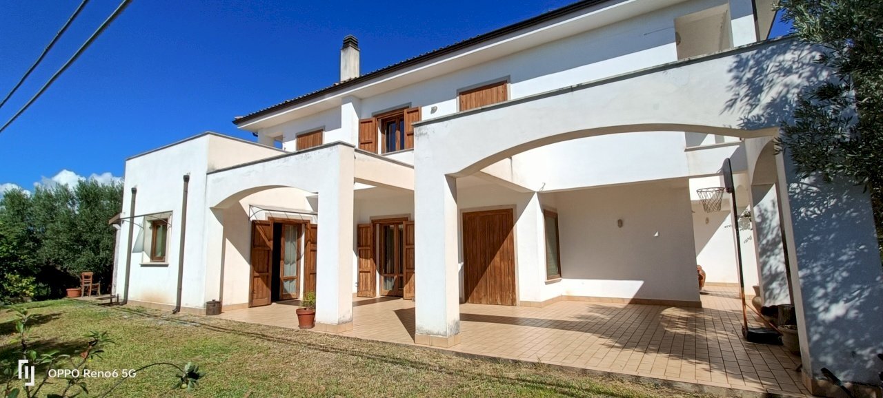 IMG20240921105341.jpg - Villa SP79, Feroleto Antico - photo 1