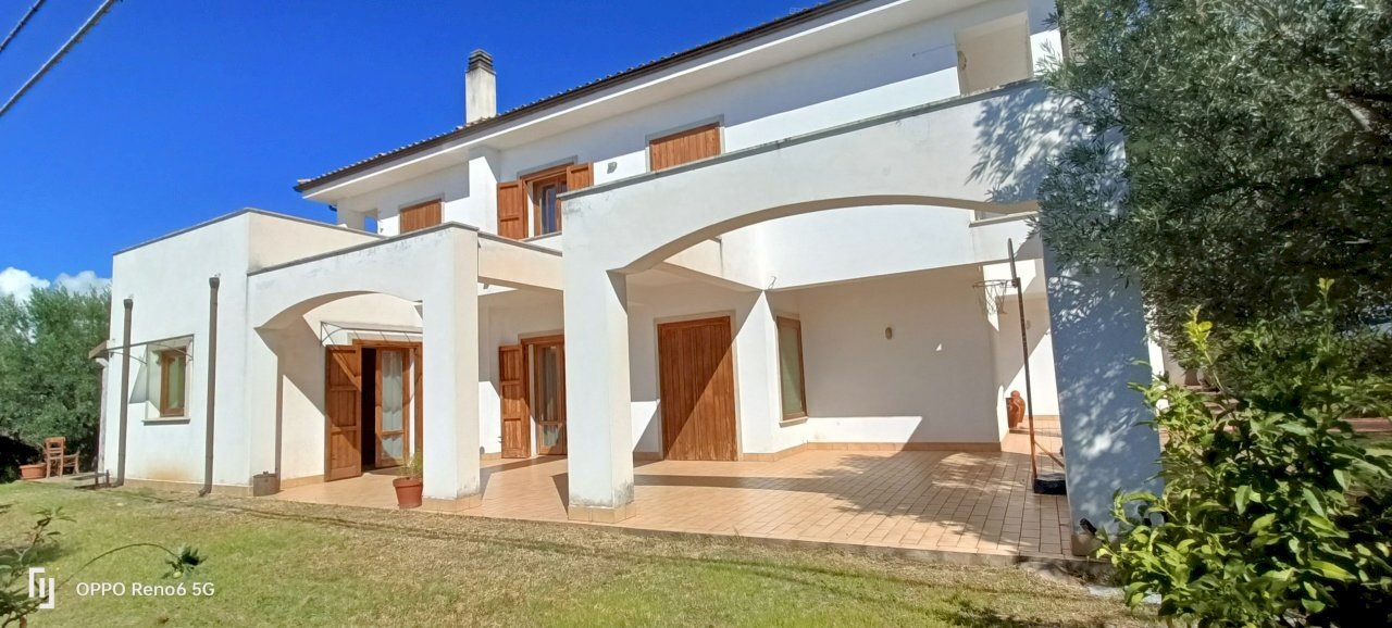 IMG20240921105345.jpg - Villa SP79, Feroleto Antico - photo 2