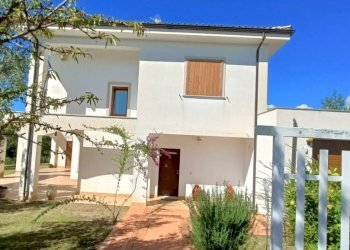 IMG20240921105517.jpg - Villa SP79, Feroleto Antico - foto 3