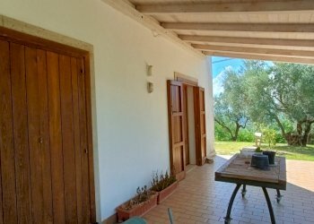 IMG20240921110002.jpg - Villa SP79, Feroleto Antico - foto 11