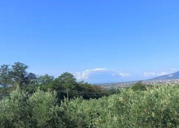 IMG20240921104415.jpg - Villa SP79, Feroleto Antico - foto 12