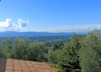 IMG20240921104425.jpg - Villa SP79, Feroleto Antico - foto 13