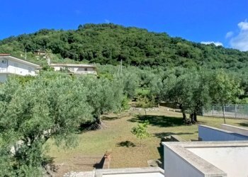 IMG20240921104435.jpg - Villa SP79, Feroleto Antico - foto 14