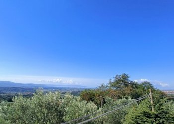 IMG20240921104517.jpg - Villa SP79, Feroleto Antico - foto 15