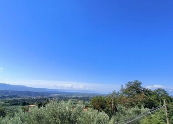 IMG20240921104521.jpg - Villa SP79, Feroleto Antico - foto 16