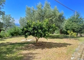 IMG20240921105253.jpg - Villa SP79, Feroleto Antico - foto 17