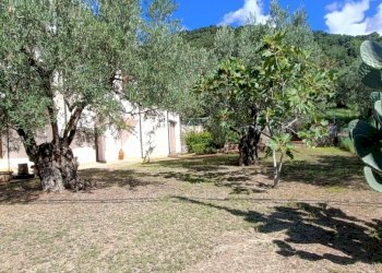 IMG20240921105458.jpg - Villa SP79, Feroleto Antico - foto 18