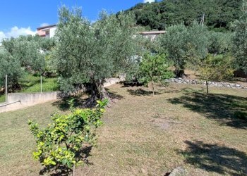 IMG20240921105733.jpg - Villa SP79, Feroleto Antico - foto 19