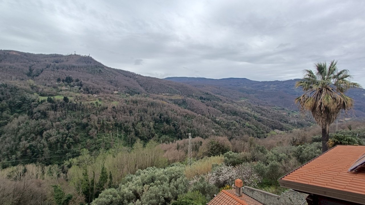 IMG20250318110731.jpg - Appartamento Via Garibaldi, Conflenti - foto 1