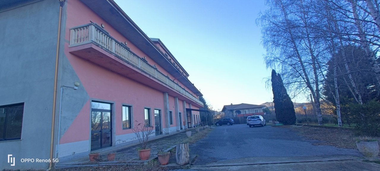 IMG20241221154613.jpg - Ristorante Via Variante Cerrisi, Decollatura - foto 2