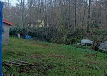 IMG20241221155546.jpg - Ristorante Via Variante Cerrisi, Decollatura - foto 5