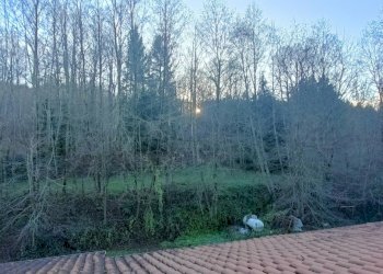 IMG20241221153321.jpg - Ristorante Via Variante Cerrisi, Decollatura - foto 18