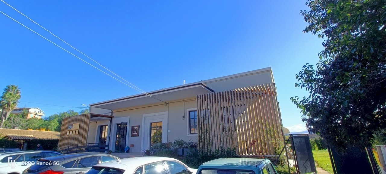 IMG20241212112647.jpg - Ristorante Piazza Lamezia, Lamezia Terme - foto 1