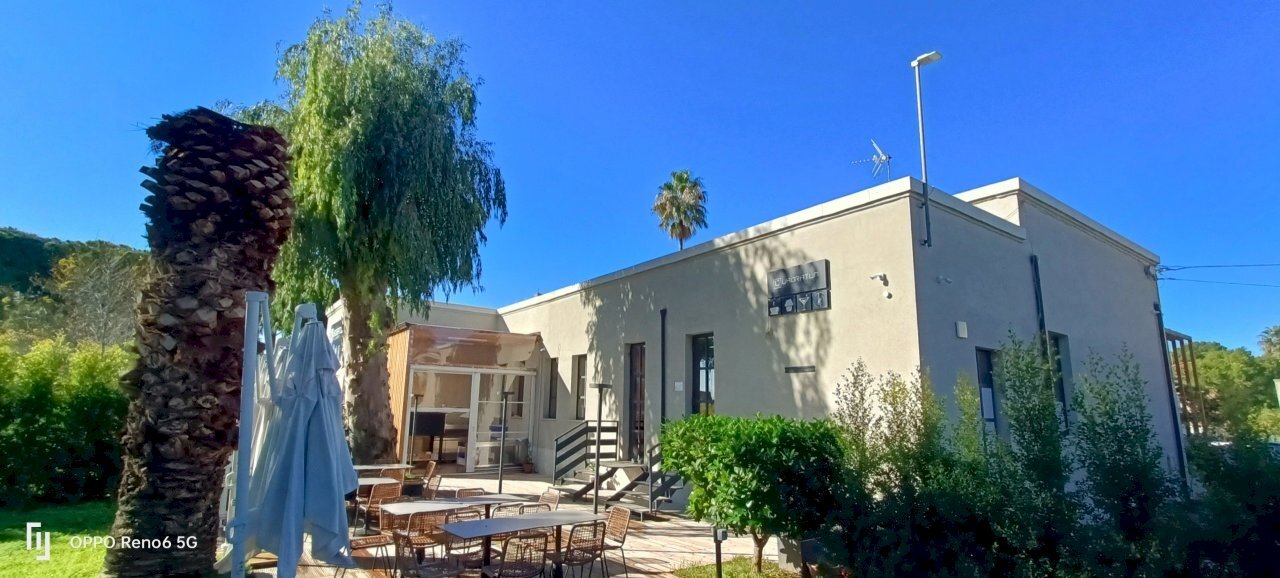 IMG20241212112820.jpg - Ristorante Piazza Lamezia, Lamezia Terme - foto 3