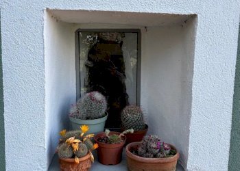 IMG_6267.jpg - Villa La Spezia - foto 29