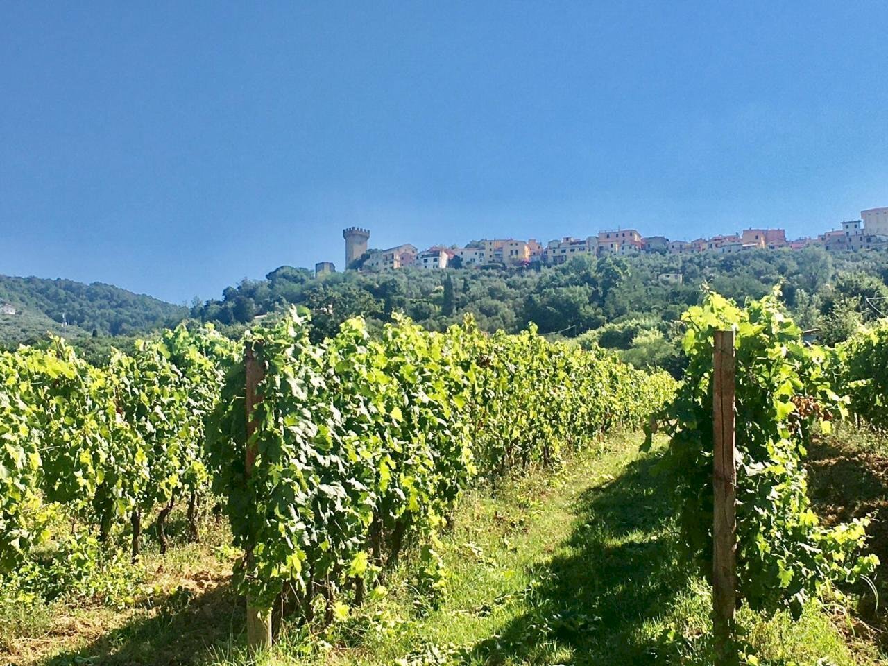 WhatsApp Image 2020-08-21 at 15.51.50 (1).jpeg - Casale Castelnuovo Magra - photo 3