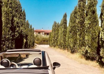 WhatsApp Image 2020-08-21 at 15.51.48.jpeg - Casale Castelnuovo Magra - photo 2