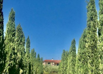 WhatsApp Image 2020-08-21 at 15.51.49.jpeg - Casale Castelnuovo Magra - photo 4