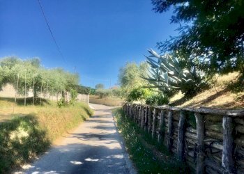 WhatsApp Image 2020-08-21 at 15.51.54 (1).jpeg - Casale Castelnuovo Magra - photo 5