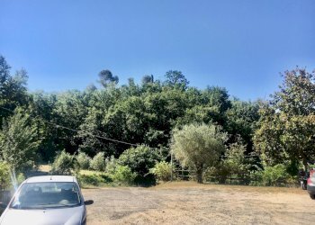 WhatsApp Image 2020-08-21 at 15.51.50.jpeg - Casale Castelnuovo Magra - photo 10