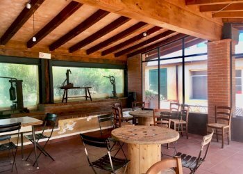 WhatsApp Image 2020-08-21 at 15.52.04 (1).jpeg - Casale Castelnuovo Magra - photo 12