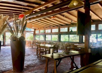 WhatsApp Image 2020-08-21 at 15.52.01 (1).jpeg - Casale Castelnuovo Magra - photo 13