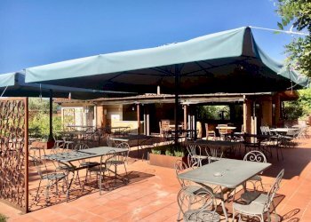 WhatsApp Image 2020-08-21 at 15.52.05.jpeg - Casale Castelnuovo Magra - photo 14