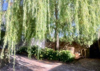 WhatsApp Image 2020-08-21 at 15.51.56 (2).jpeg - Casale Castelnuovo Magra - photo 19