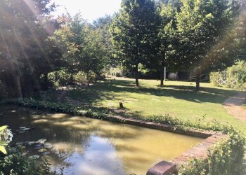 WhatsApp Image 2020-08-21 at 15.52.04 (3).jpeg - Casale Castelnuovo Magra - photo 20